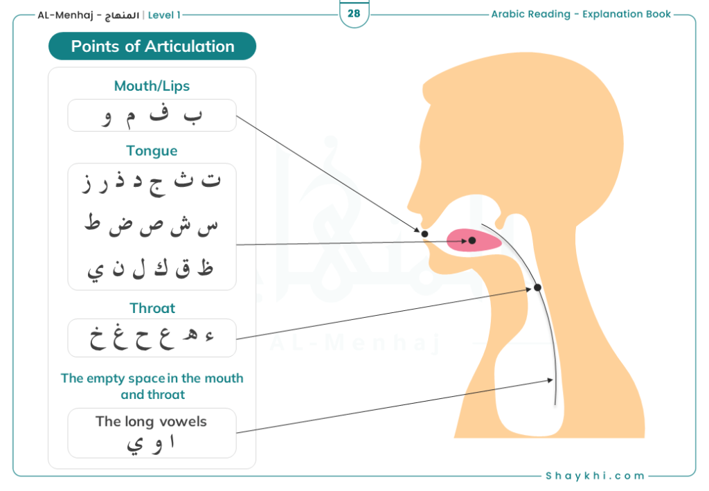 Understand Makhraj (Points of Articulation)