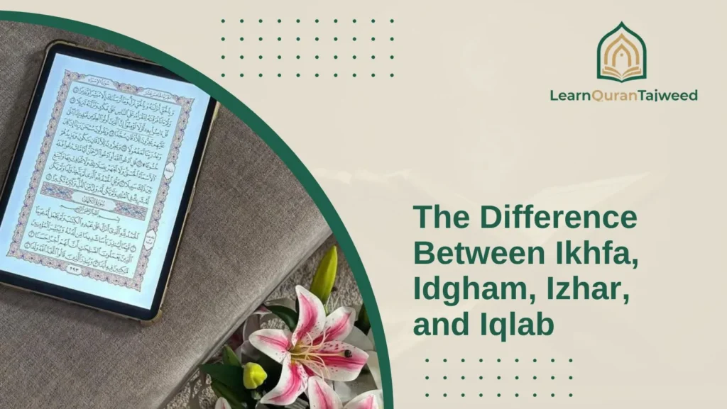 The Difference Between Ikhfa, Idgham, Izhar, and Iqlab 