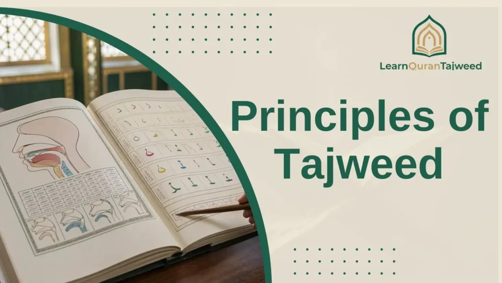 Principles of Tajweed