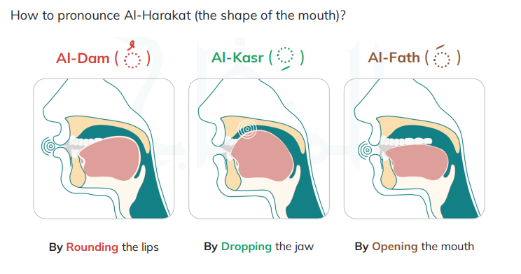 How Do the Three Vowels Appear With Shaddah?