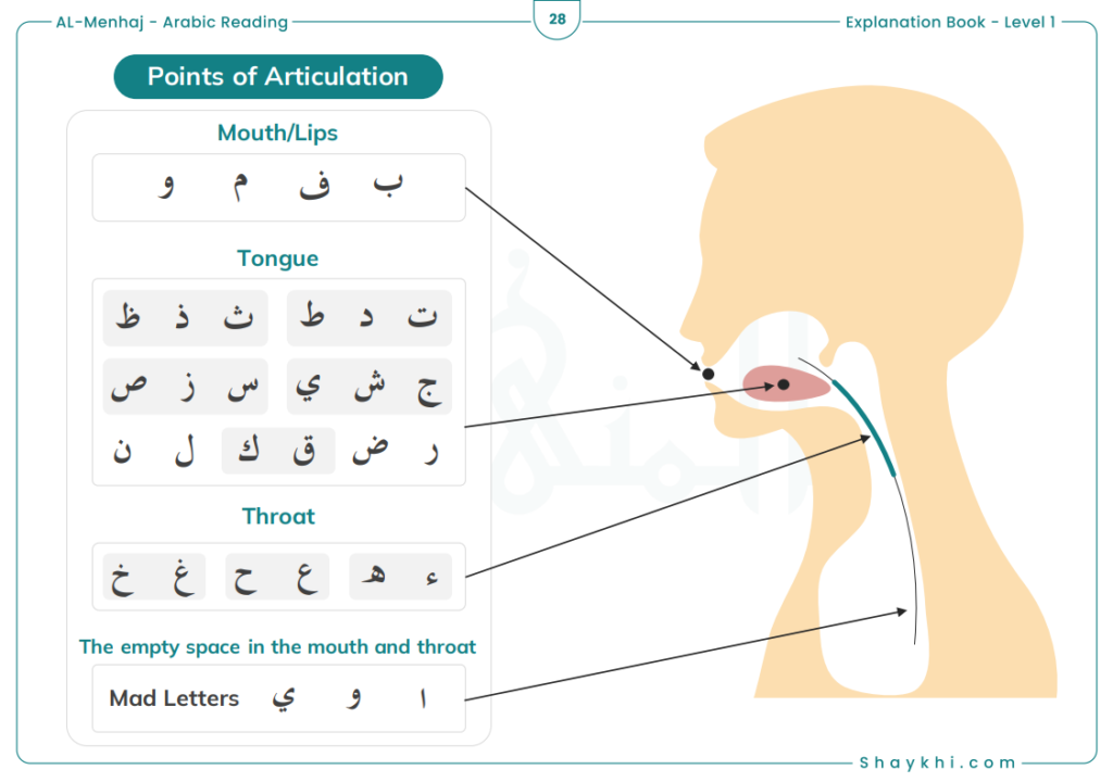 What Are The Five Articulation Zones of Arabic Alphabet Pronunciation?
