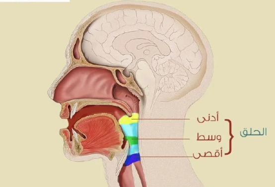 Letters From the Closest Throat Position (Adna al-Halq)