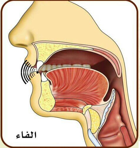 The Most Common Error Students Make With the Letter Fa
