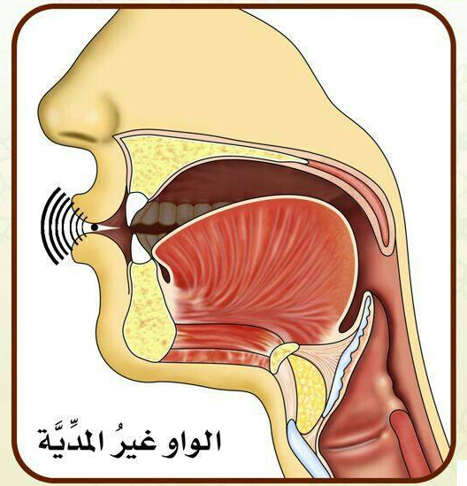 The Key Error With the Non-Madd Waw