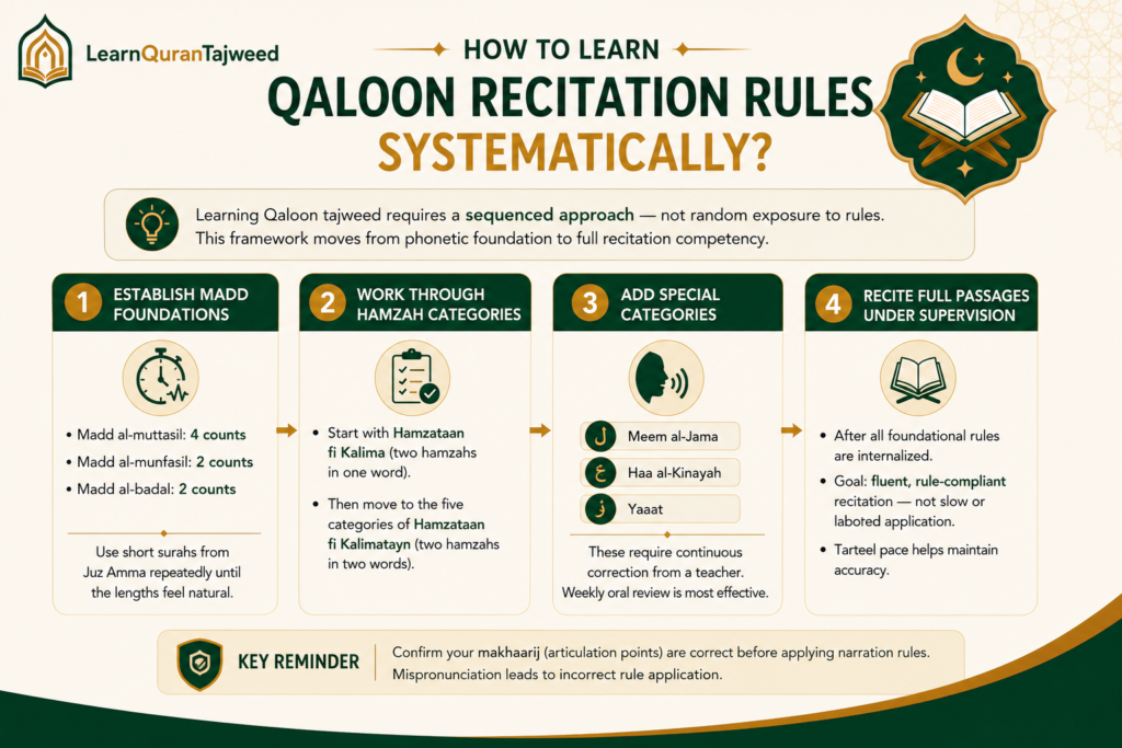 Qaloon Tajweed Rules, Recitation Principles and How to Learn Them Online 6 image 59