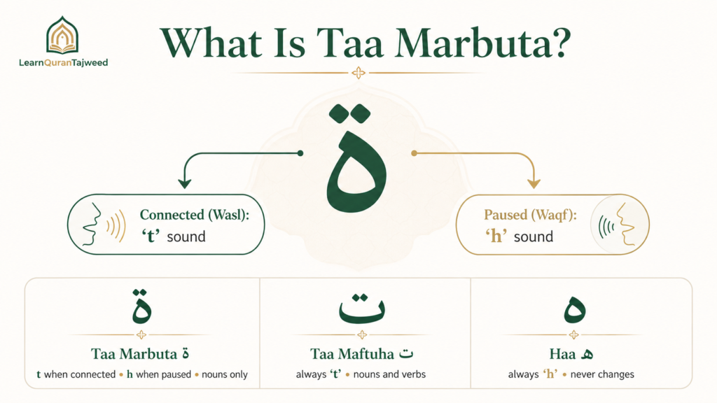 Taa Marbuta Rules