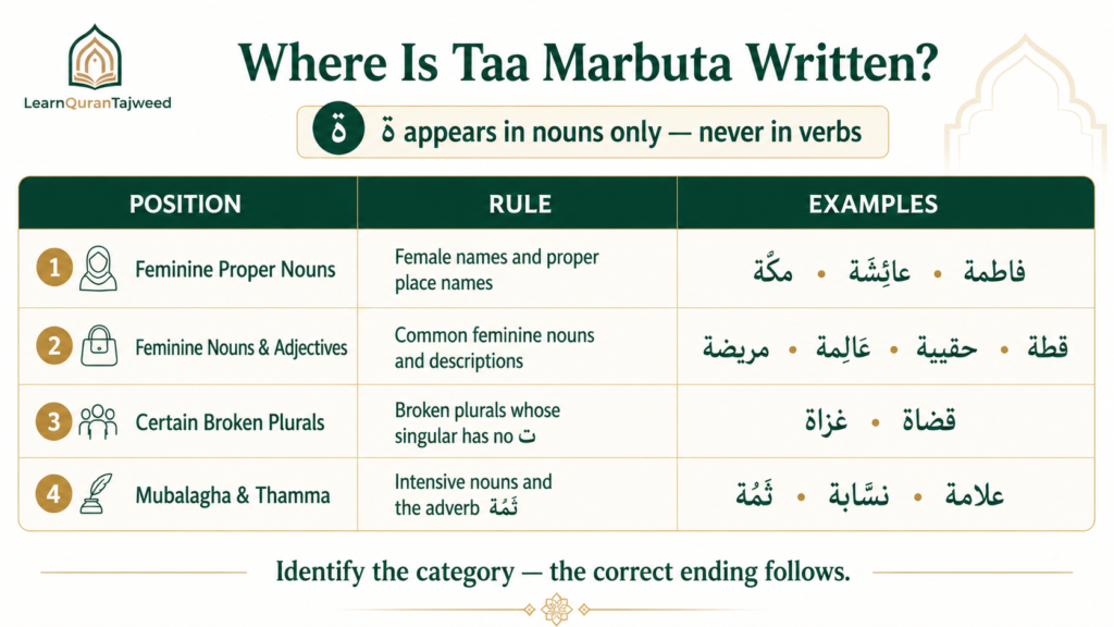 Taa Marbuta Rules