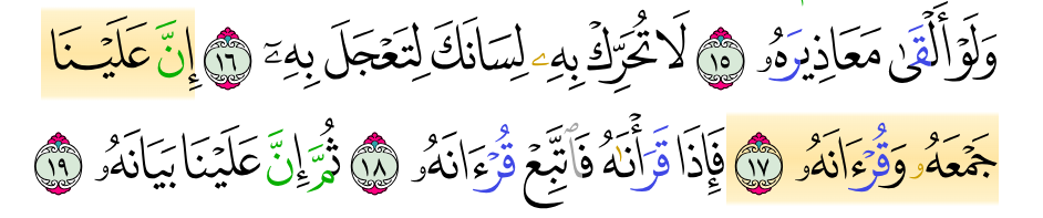 image 41